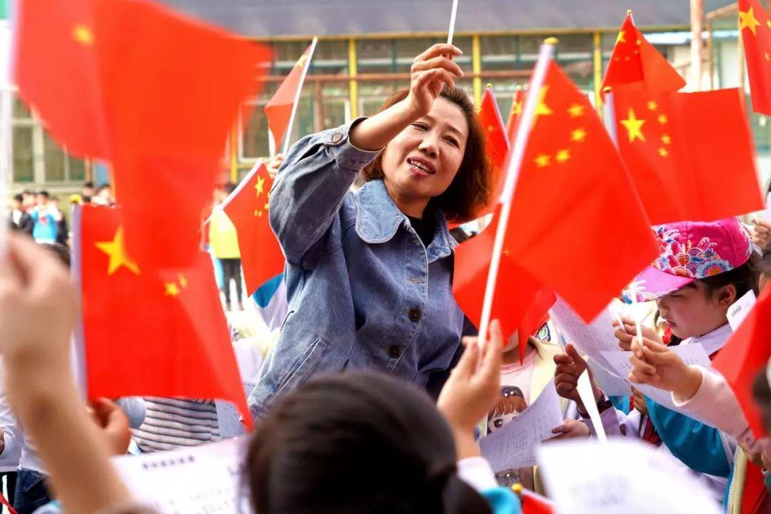 救援可爱小猪仔
