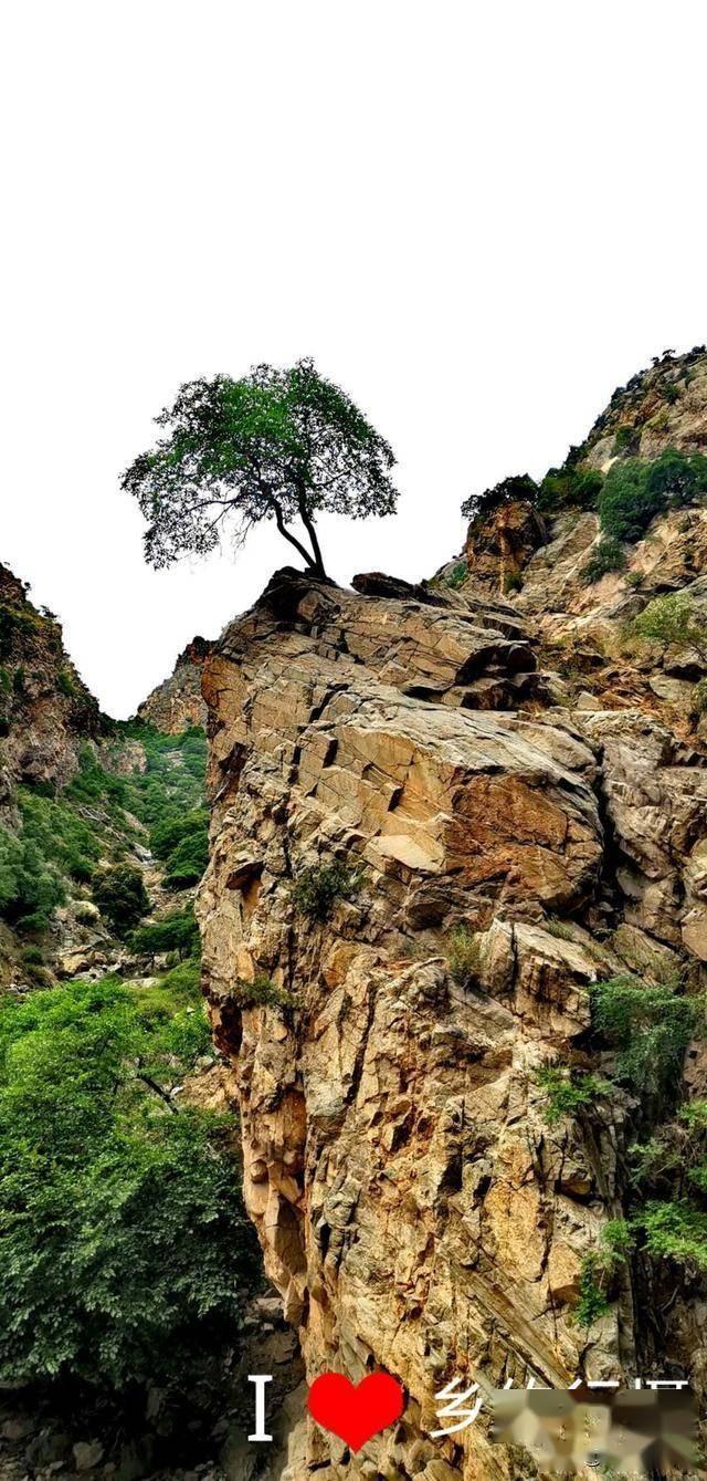 古生物真的可以复活吗游戏画面